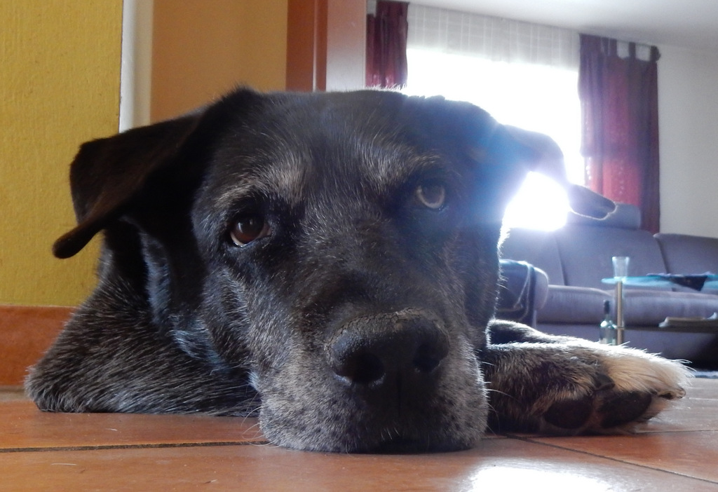 DSCN4746.JPG