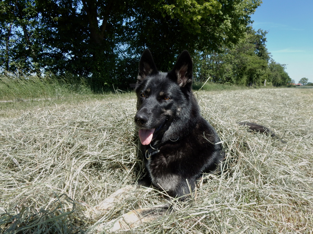 DSCN4830.jpg