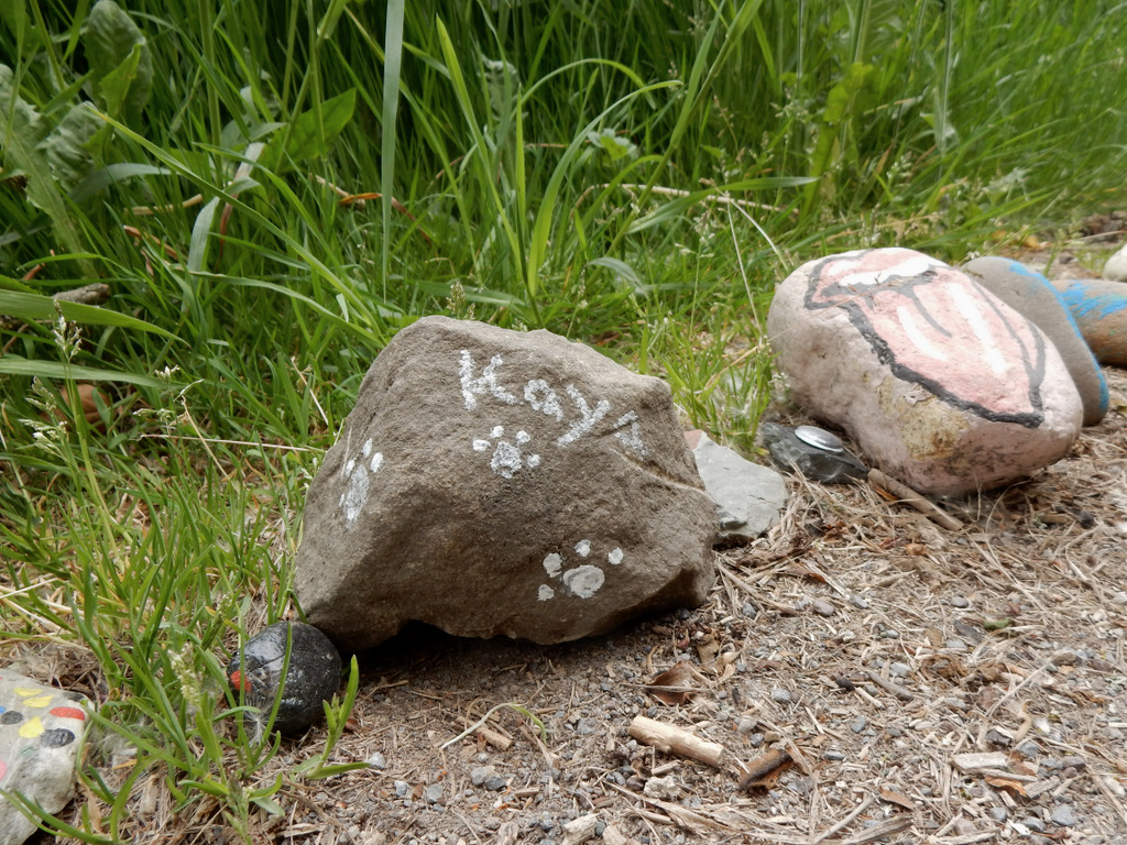 DSCN4843.jpg