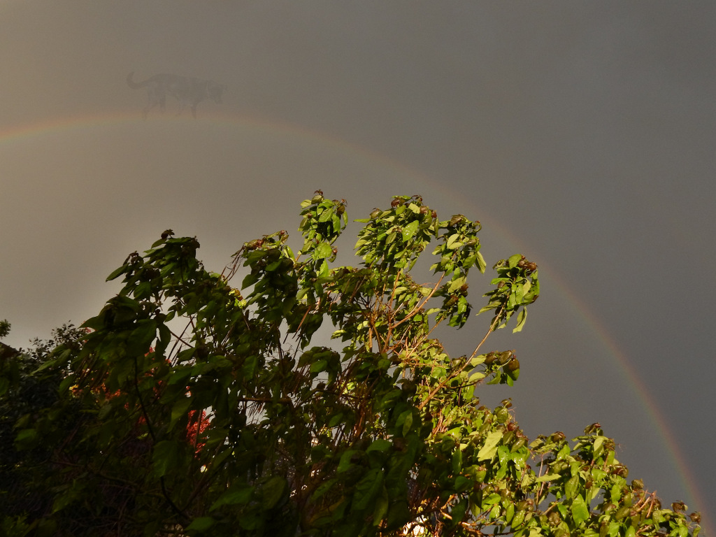 DSCN4851.jpg