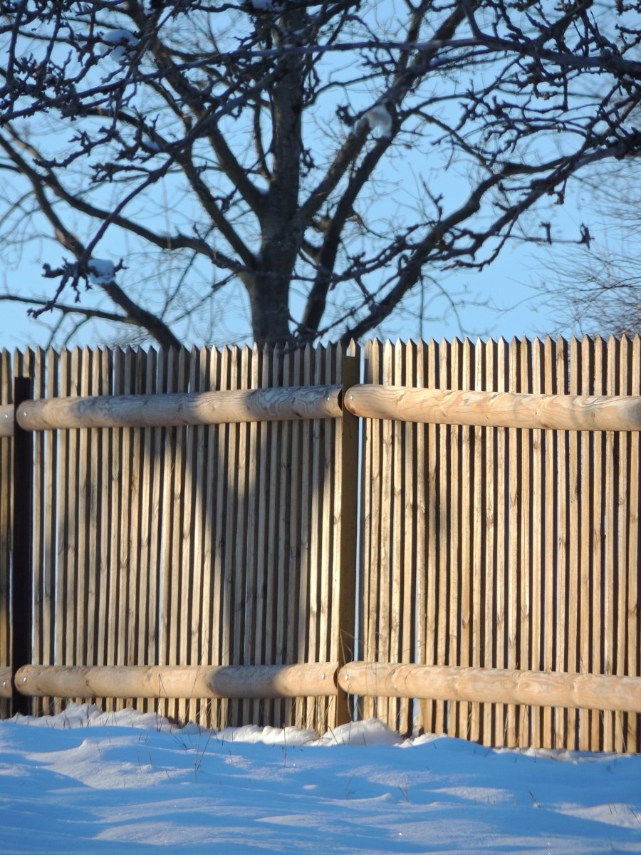 DSCN4870n.JPG