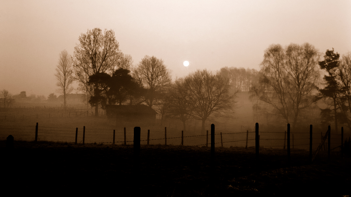 DSD 0096 sepia