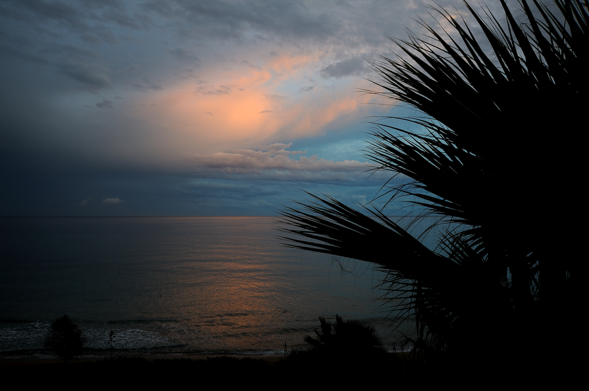 DSD_2186.jpg