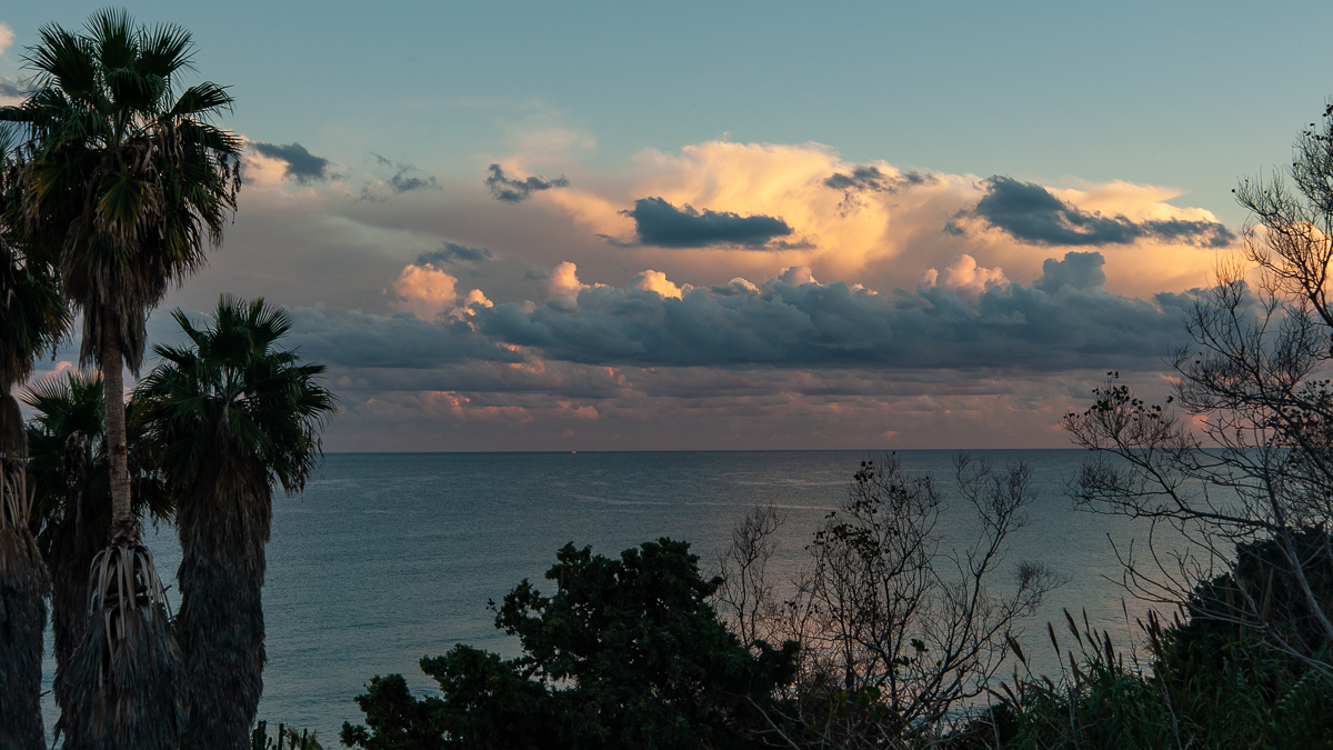 DSD_2562.jpg