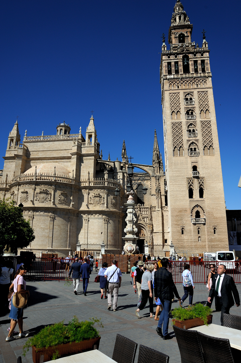 DSD_8478.jpg