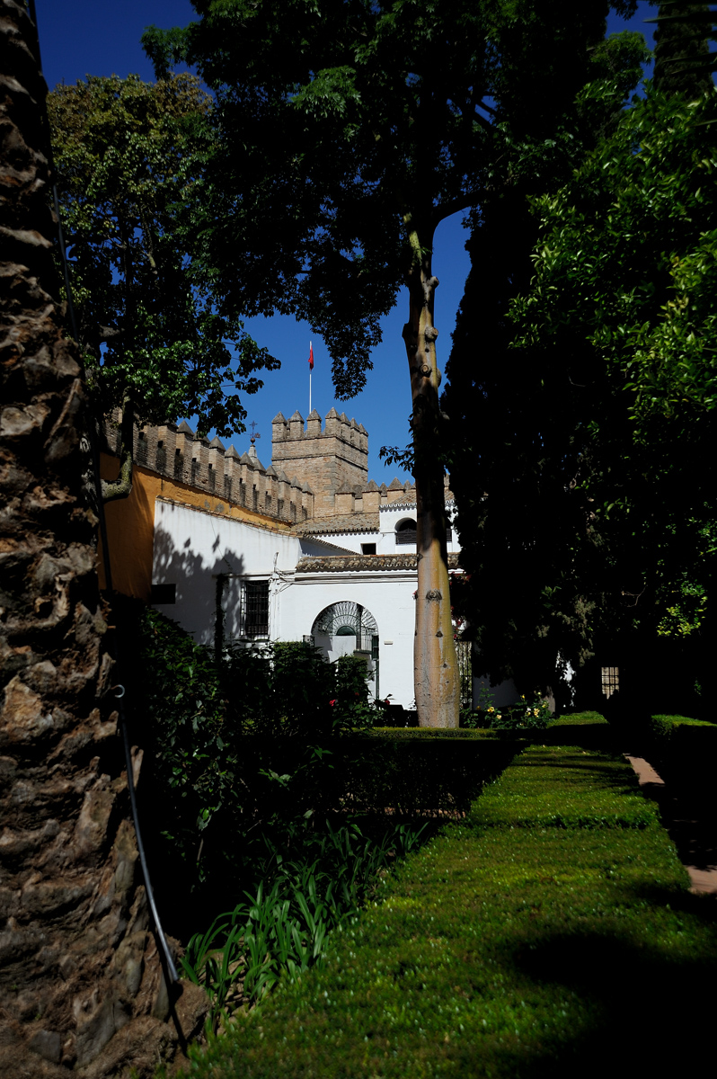 DSD_8500.jpg