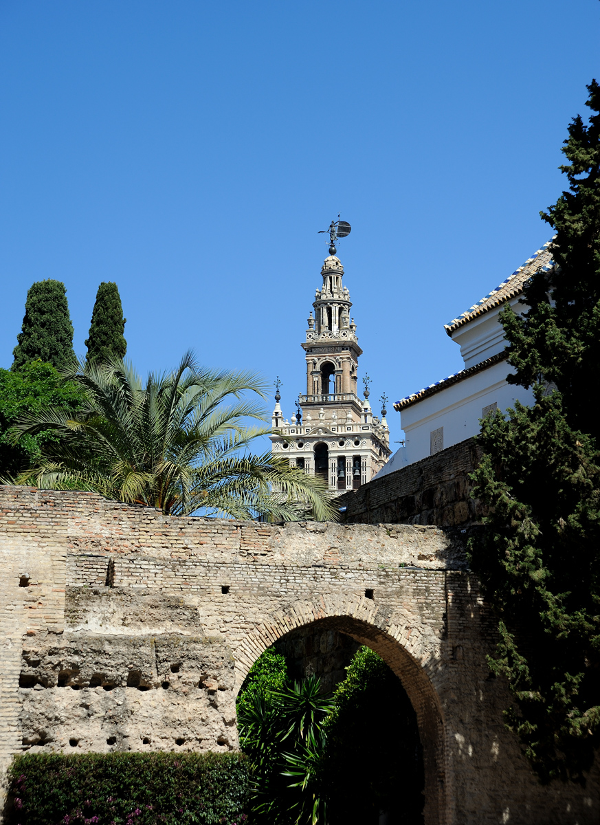 DSD_8503.jpg