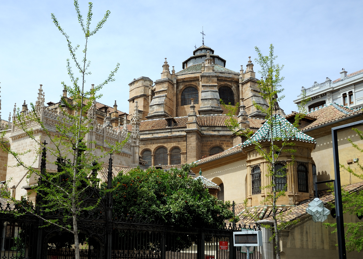 DSD_8651.jpg