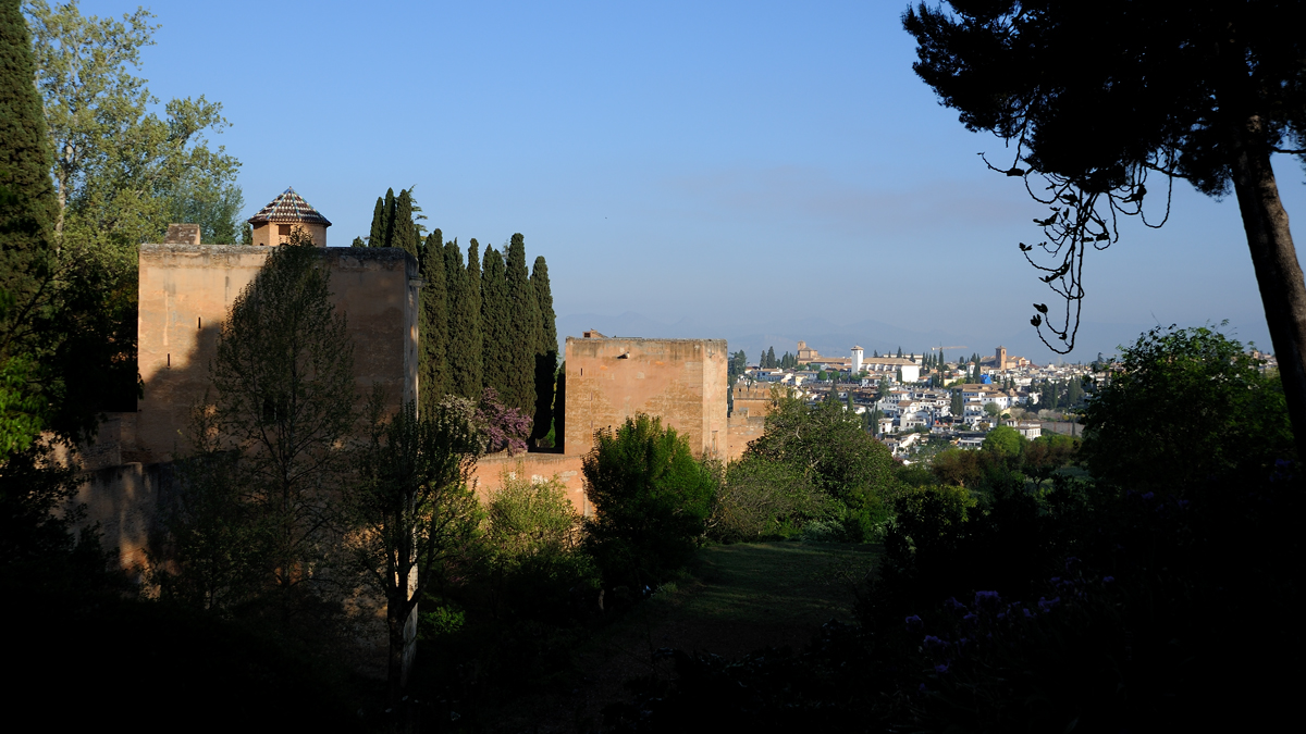 DSD_8764.jpg