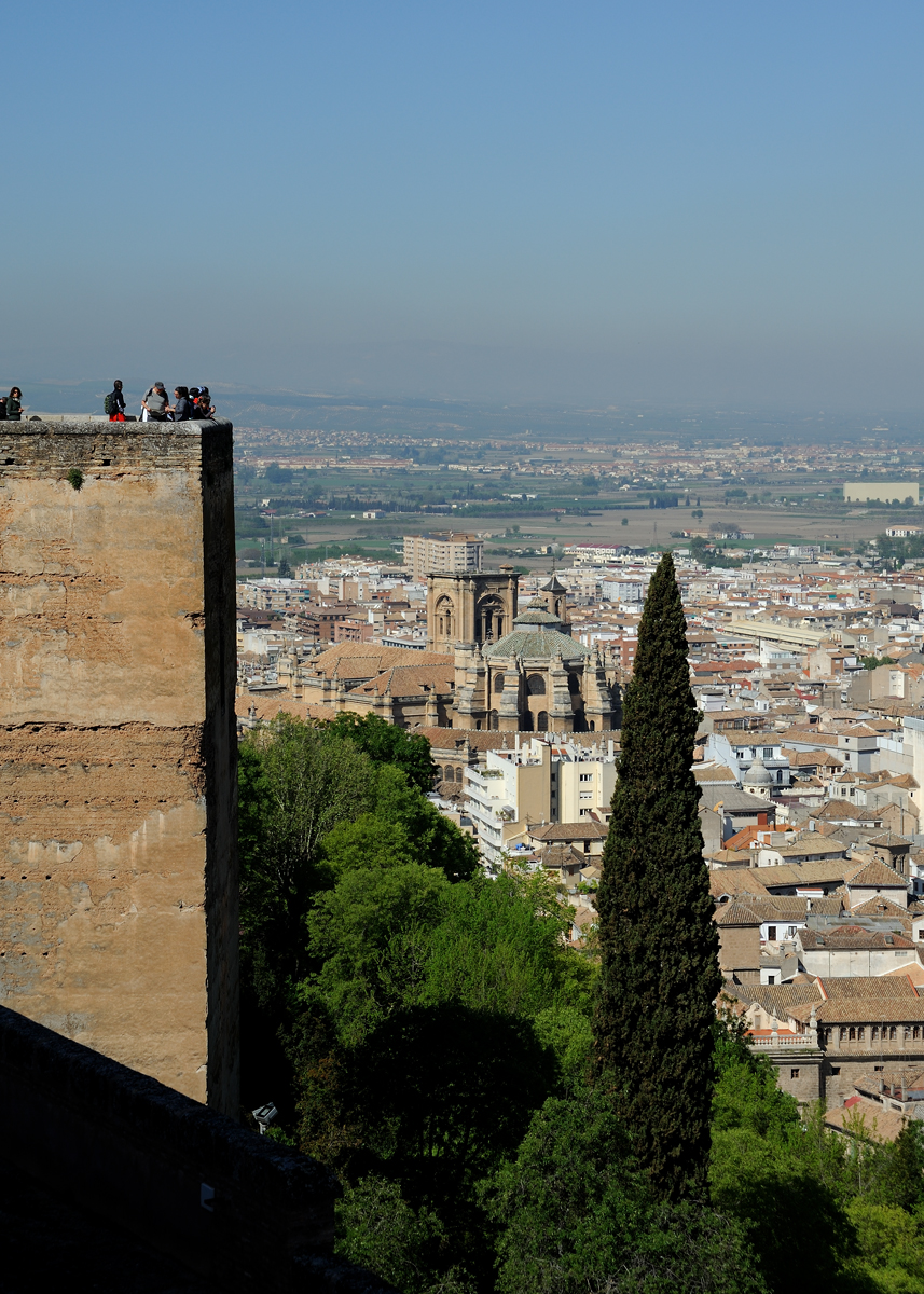 DSD_8891.jpg