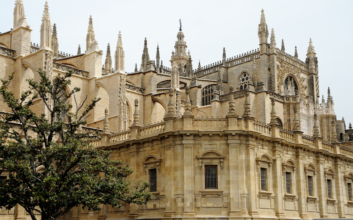 DSD_9049.jpg