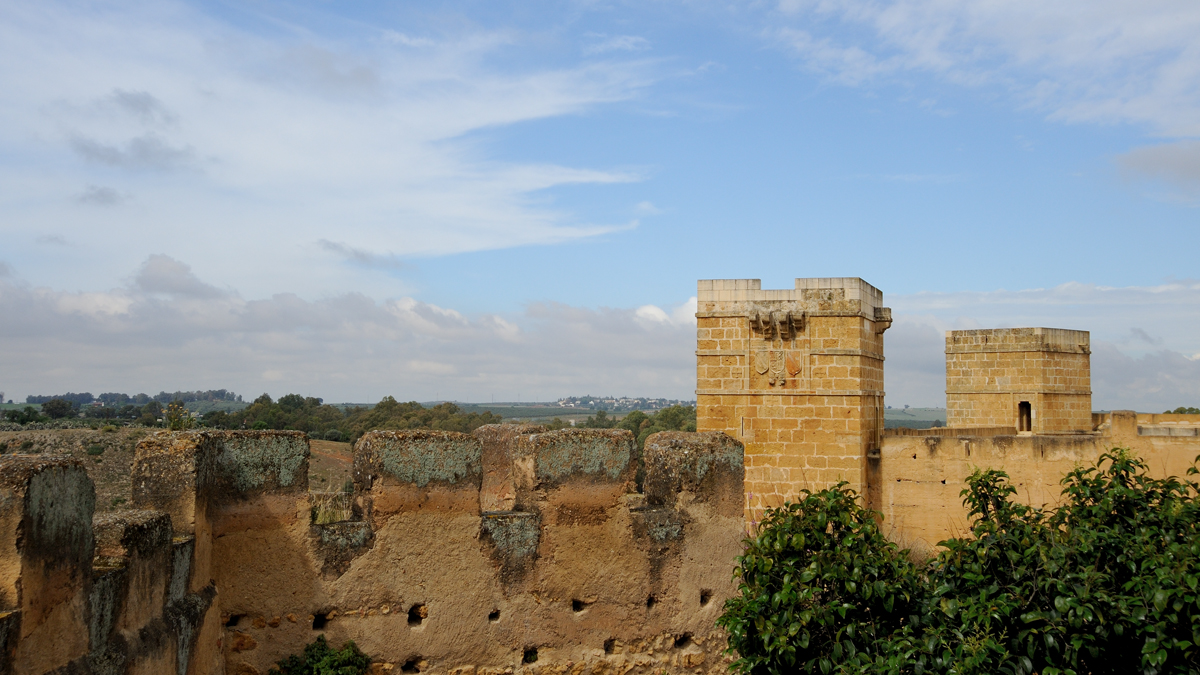 DSD_9212.jpg