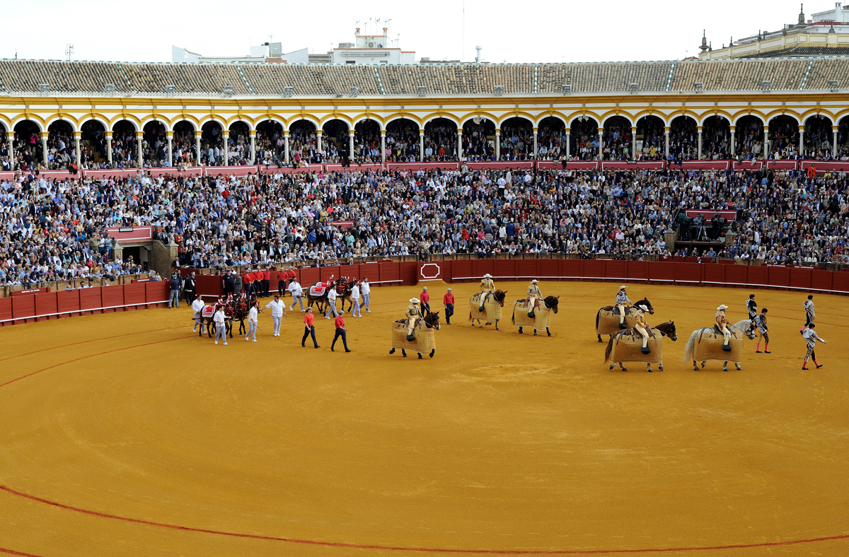 DSD_9497.jpg