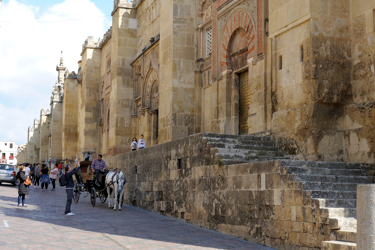 DSD_9826.jpg