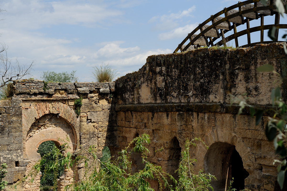 DSD_9915.jpg