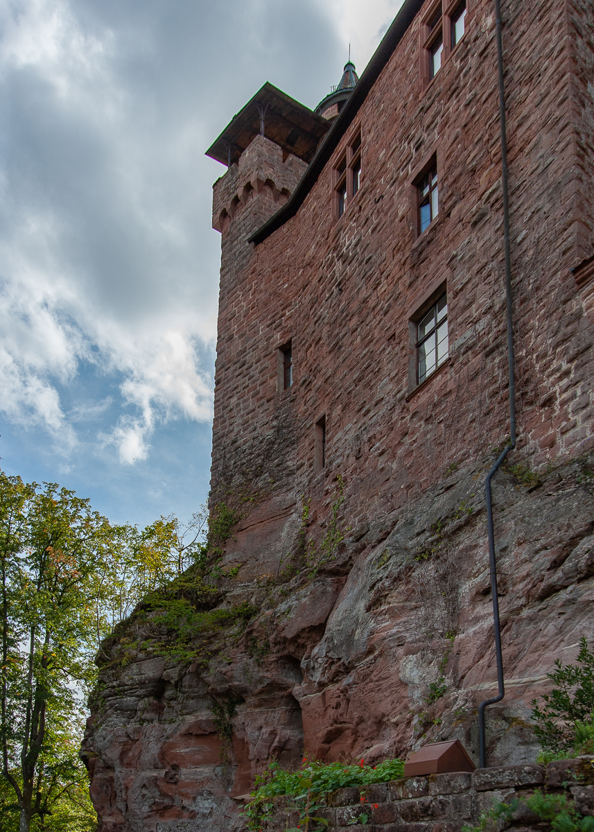 DSE_3827.jpg