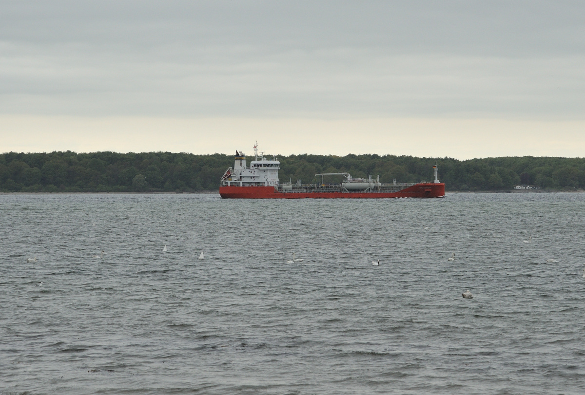 DSE_6553.JPG