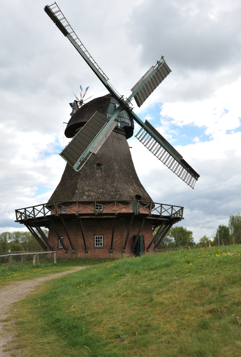 DSE_6600.JPG