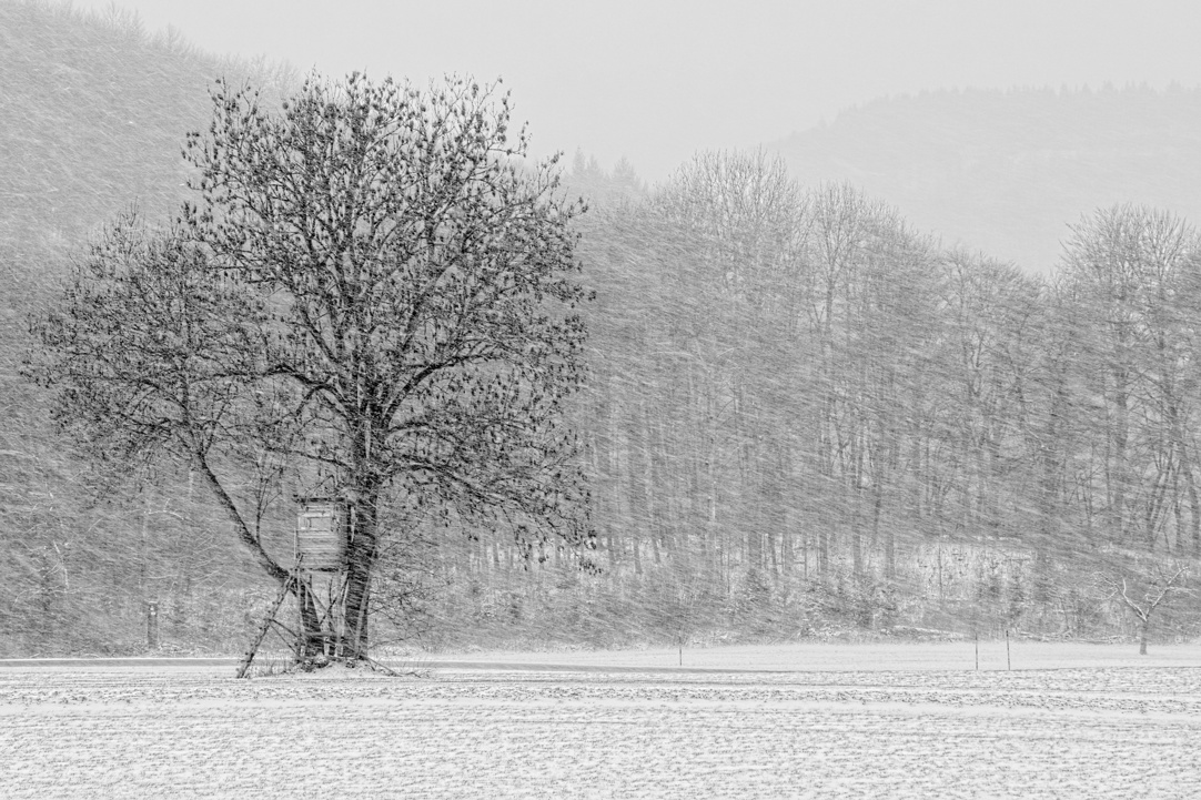 DSF1671 bw v1 v1 nff