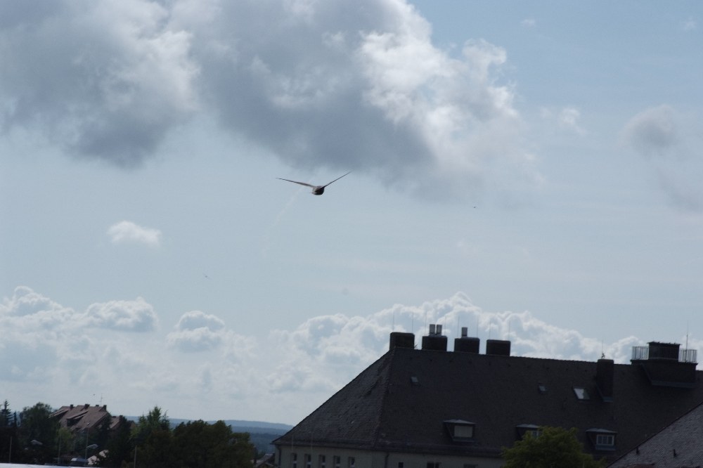 DSF1838
http://www.nikon-fotografie.de/vbulletin/showthread.php?t=100183