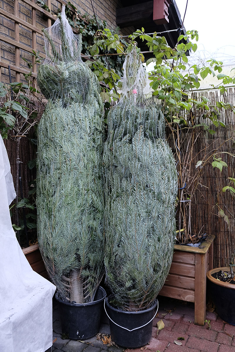 DSF3519xl