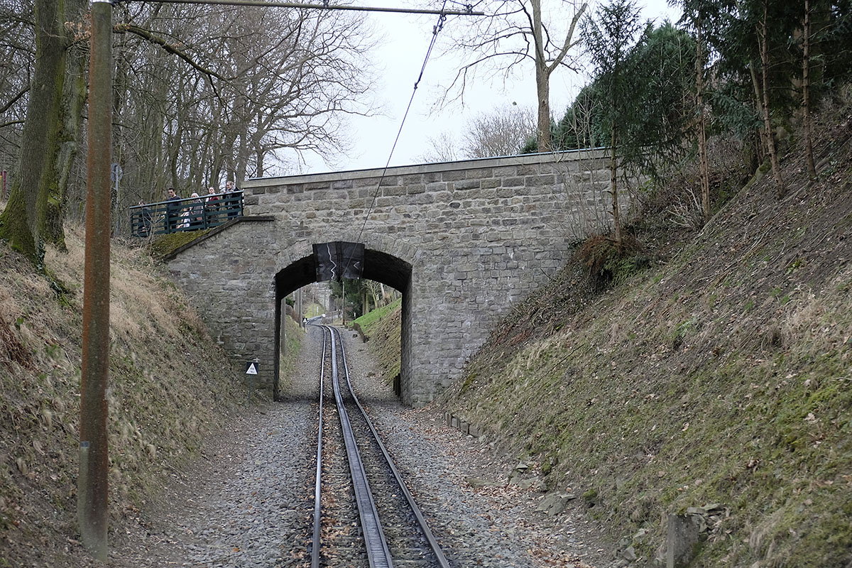 DSF3958Sxl