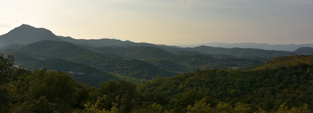 DSJ 7096 1 pano web
