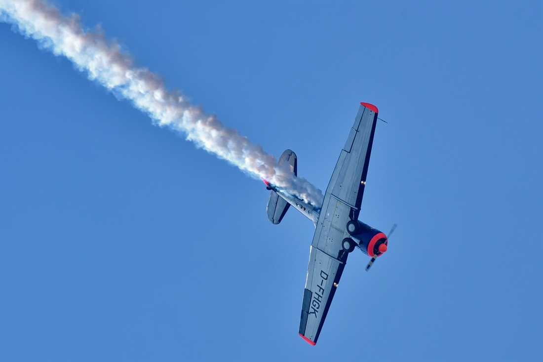 DSJ_2330_1_nff.jpg