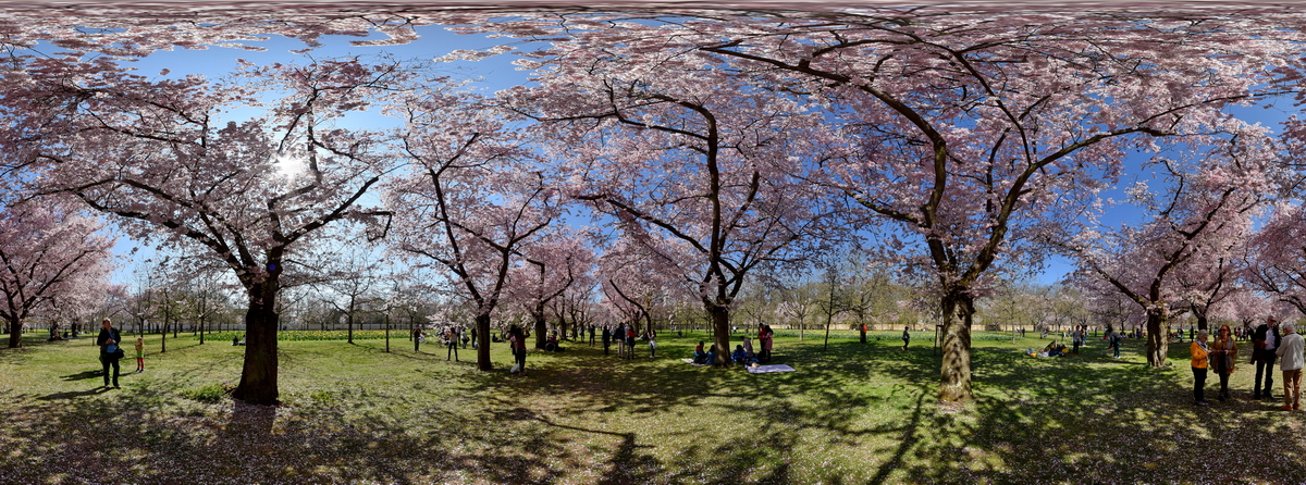 DSK 6776 pano1 nff