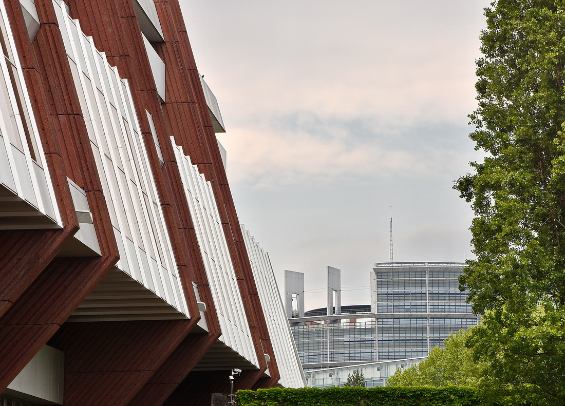DSK_0504_nff.JPG