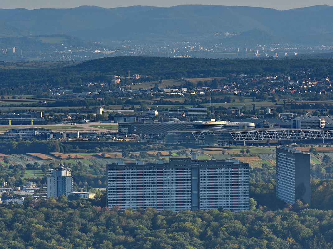 DSK_4817_nff.JPG
