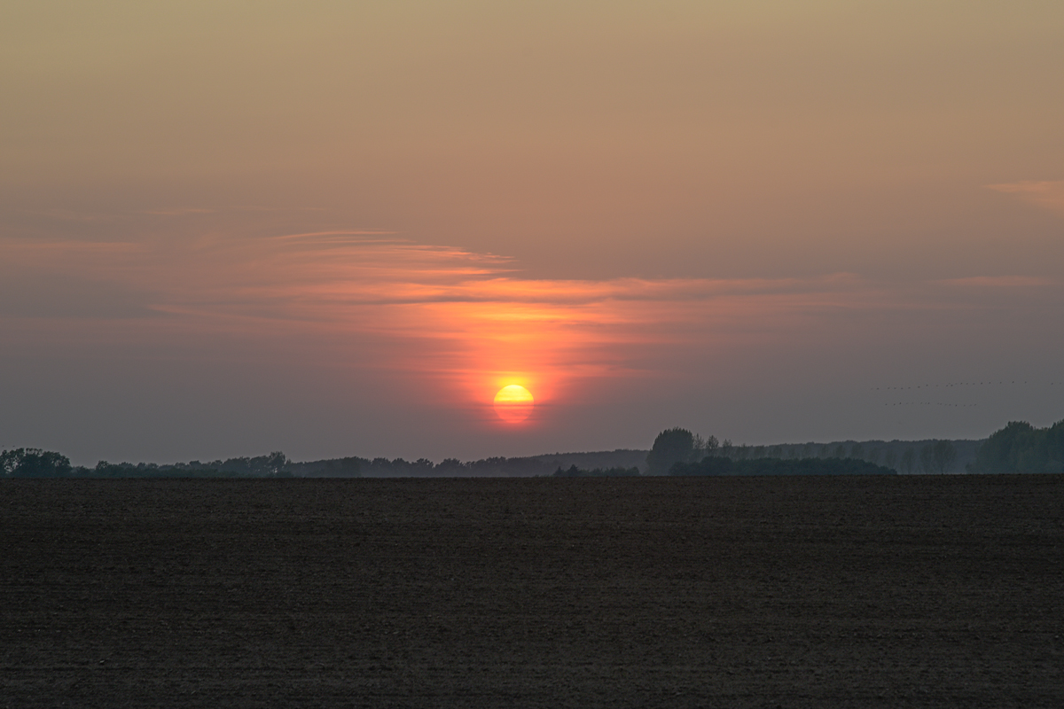 DSV_4695.jpg