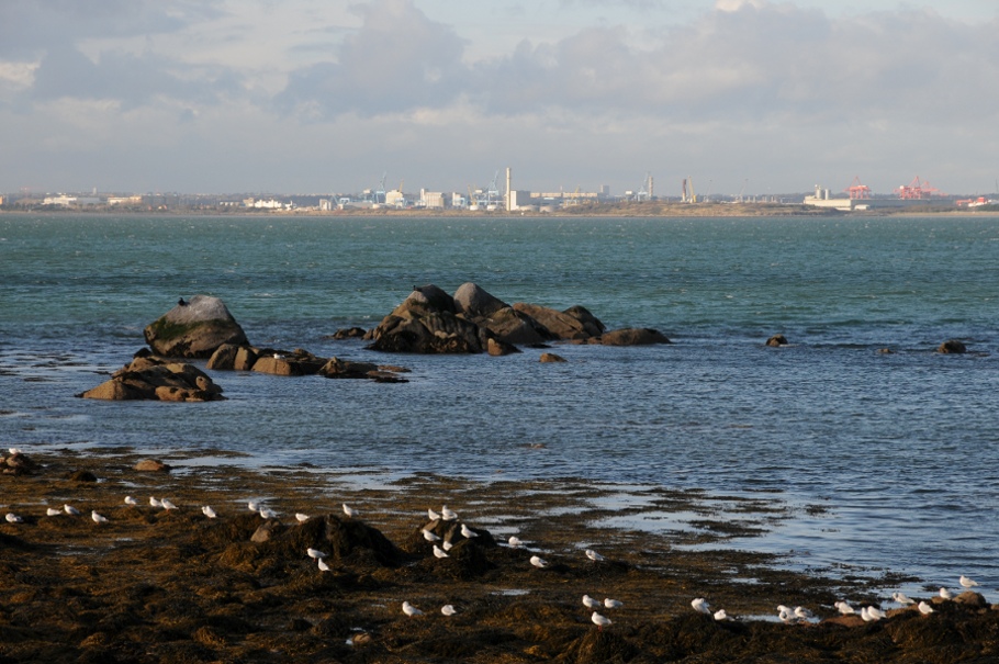 Dublin bay/ Harbour