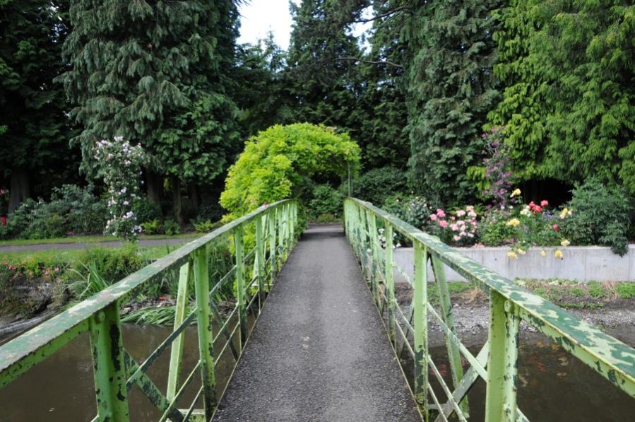 Dublin botanic garden