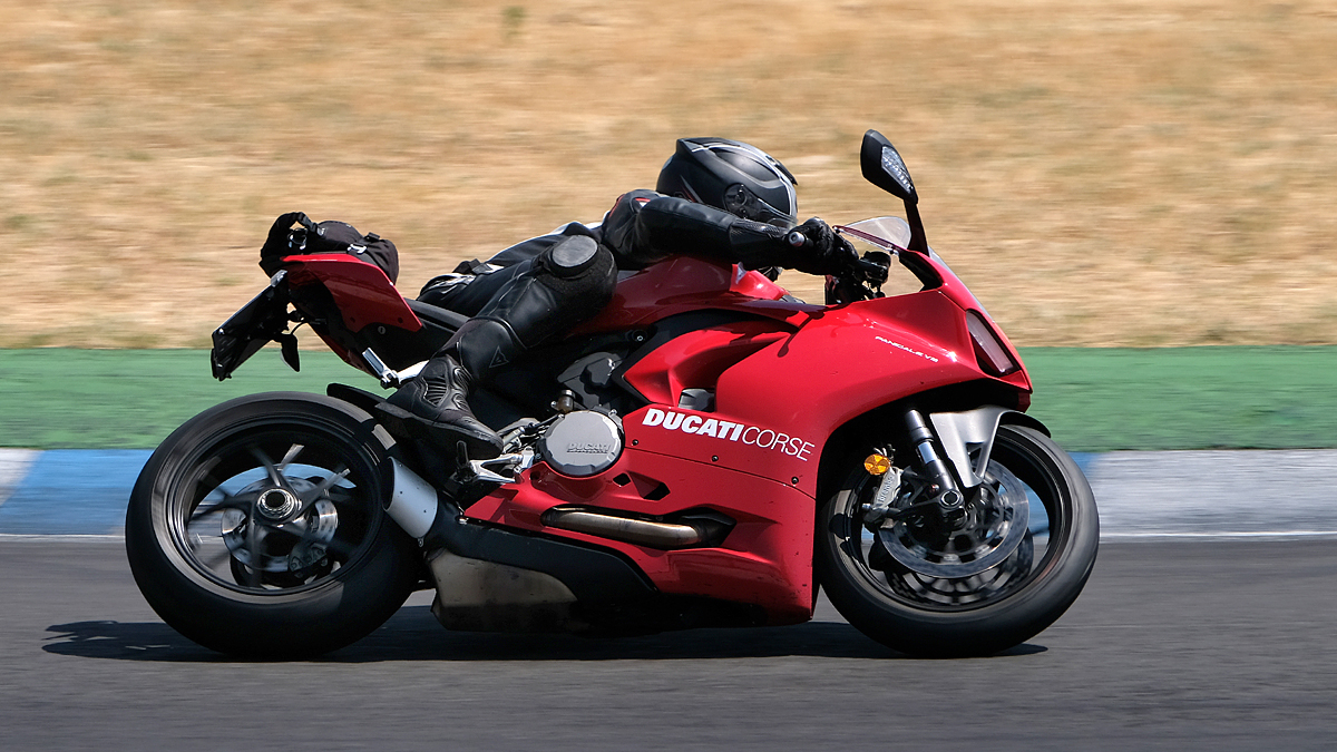 Duc_s.jpg