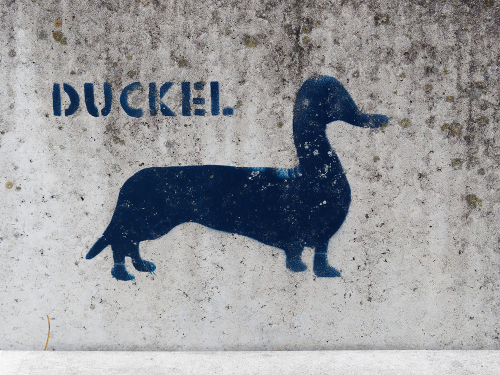 Duckel.jpg
