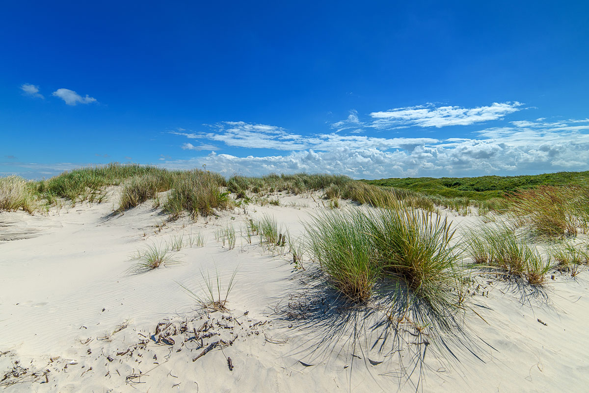 Duenen 2 Wangerooge