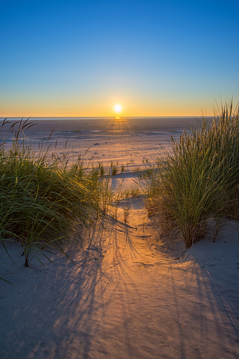 Duenen 3 Wangerooge