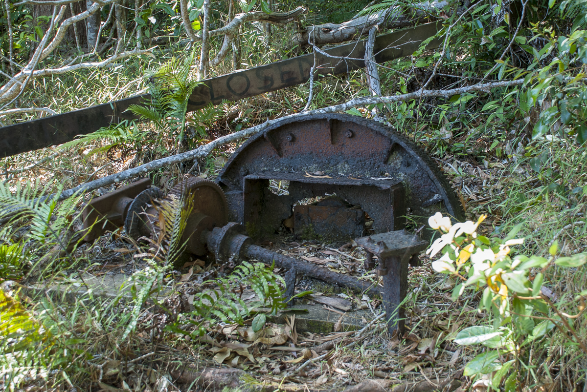 Dunk Island Flak.jpg