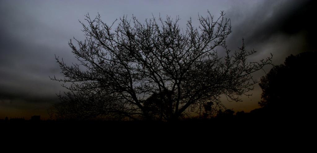 Dunkelwelt 1b