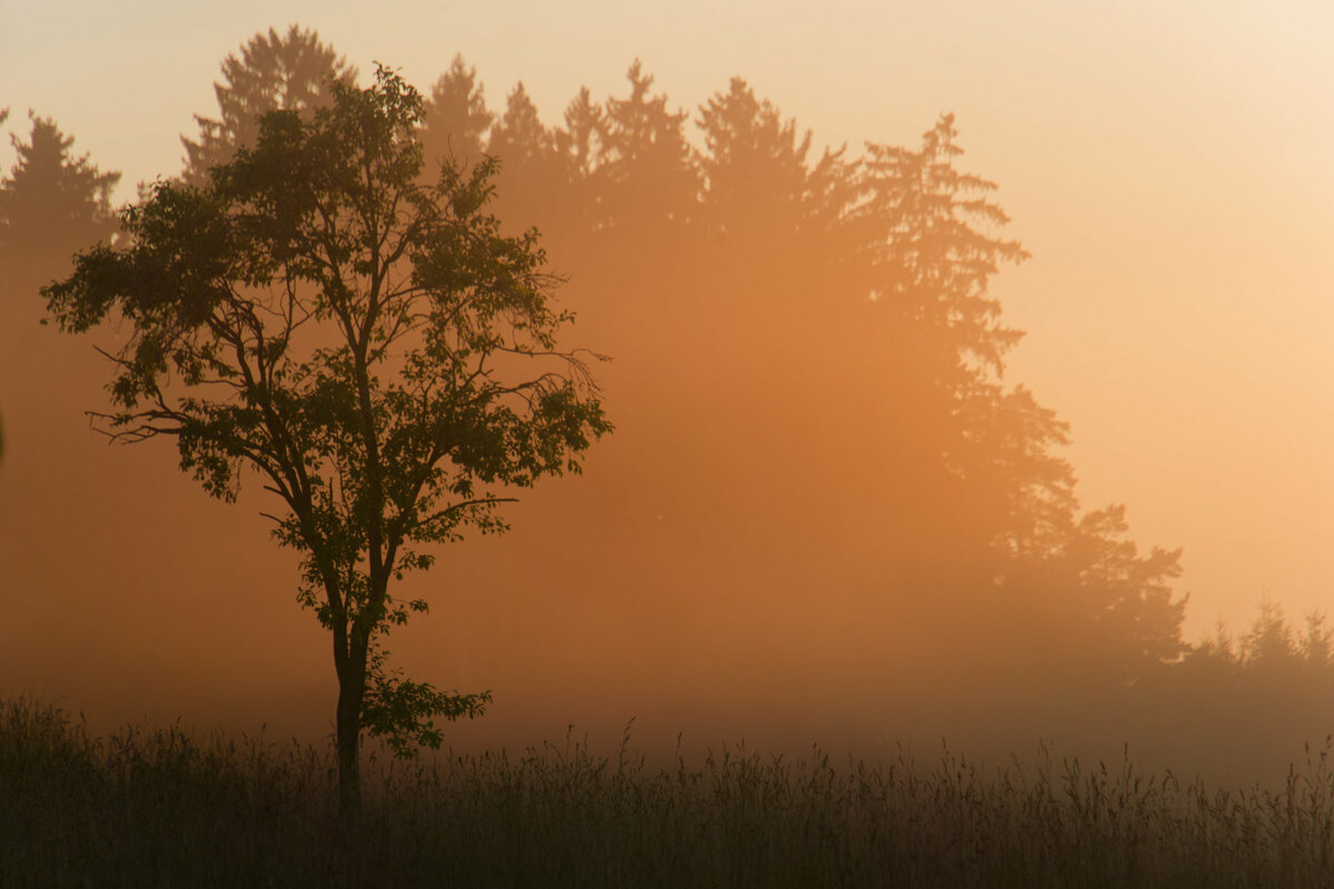 Dunst am Abend