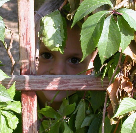 Durchblick