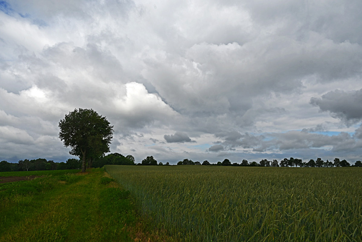 Durchwachsenes Wetter 2.jpg