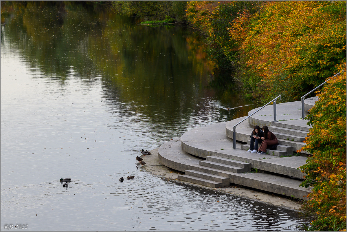 DZ7_0272.jpg