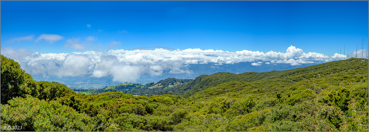 DZ7_3205-Pano.jpg