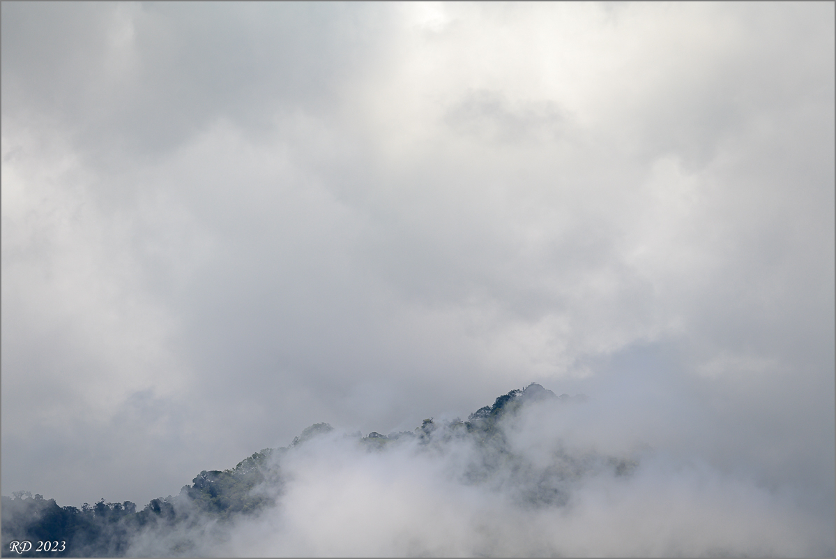 DZ7_3244.jpg