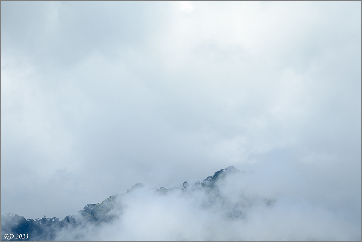 DZ7_3244.jpg