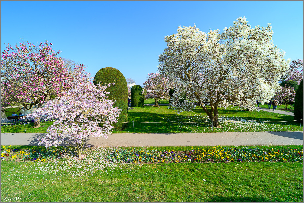 DZ7_3600.jpg