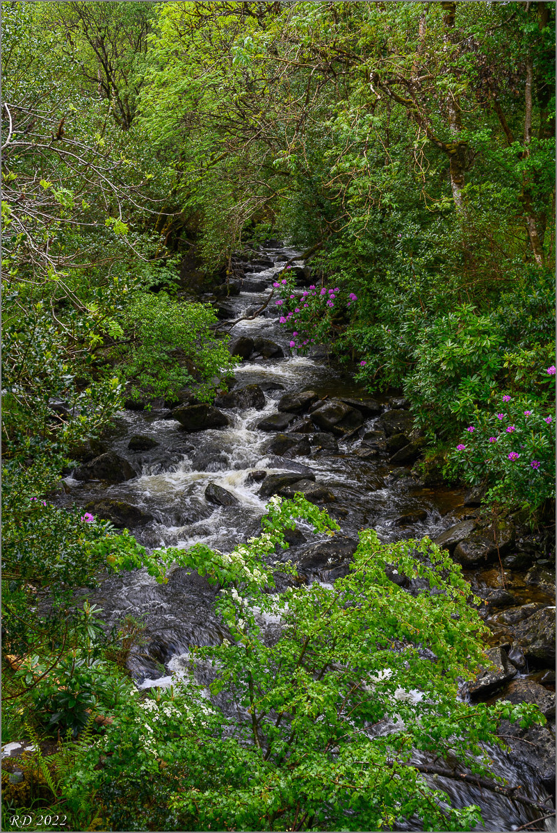 DZ7_4256.jpg
