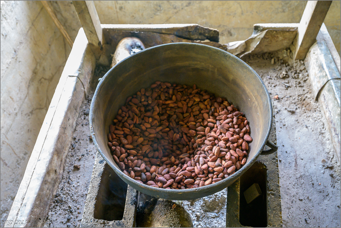 DZ7_4526.jpg